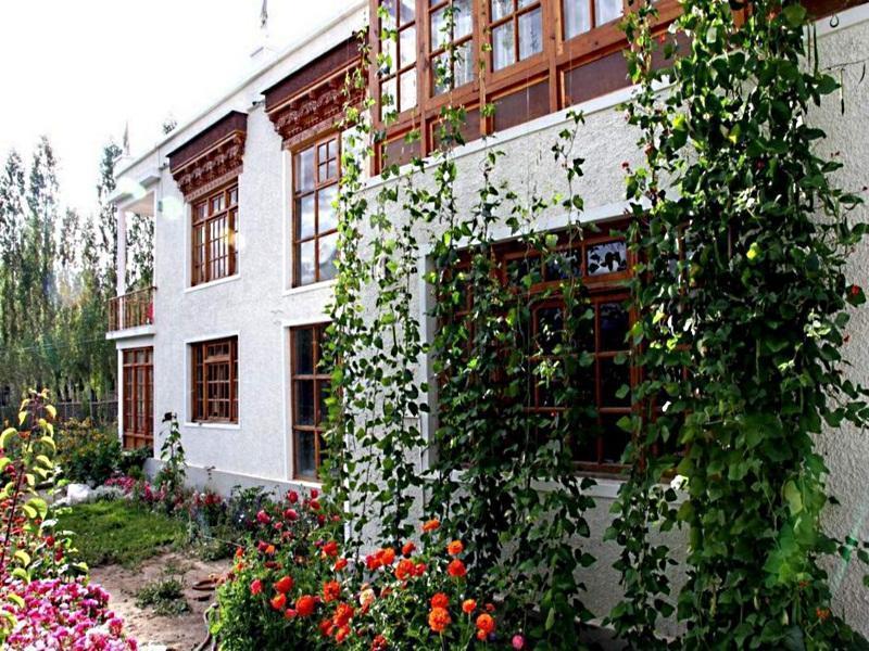 Gangs-Shun Homestay Leh Buitenkant foto